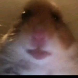 Meet your Posher, Keelan